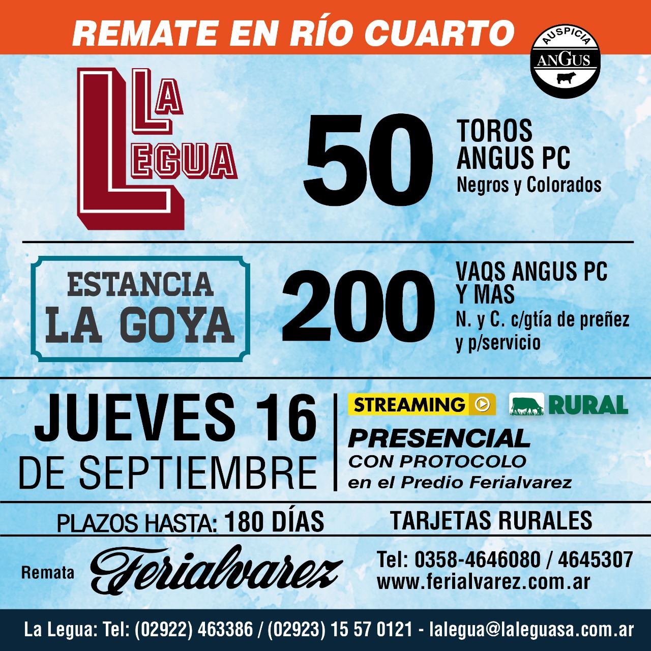 Afiche La Legua - Estancia La Goya
