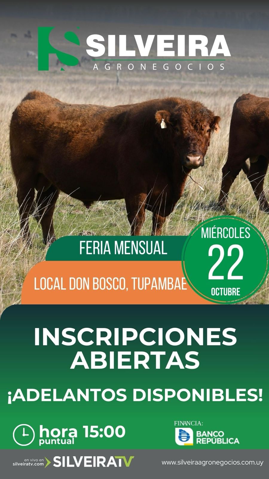 Feria Mensual