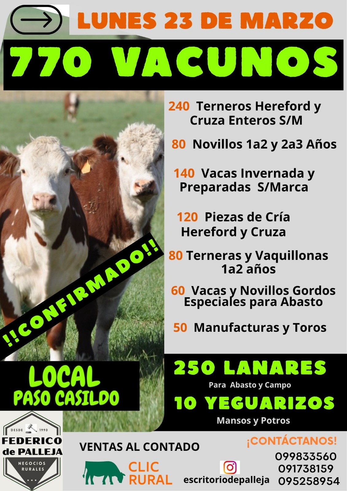 Feria Mensual - Federico de Palleja