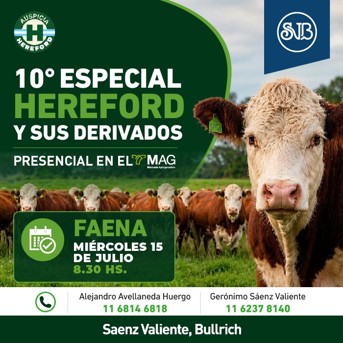10° Especial Hereford y sus derivados