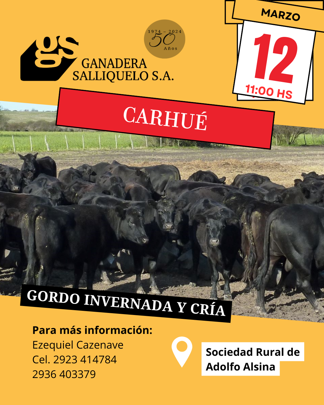 Remate Gordo, Invernada y Cría