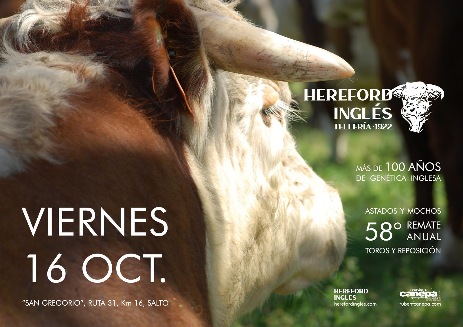Remate 58º Hereford Ingles