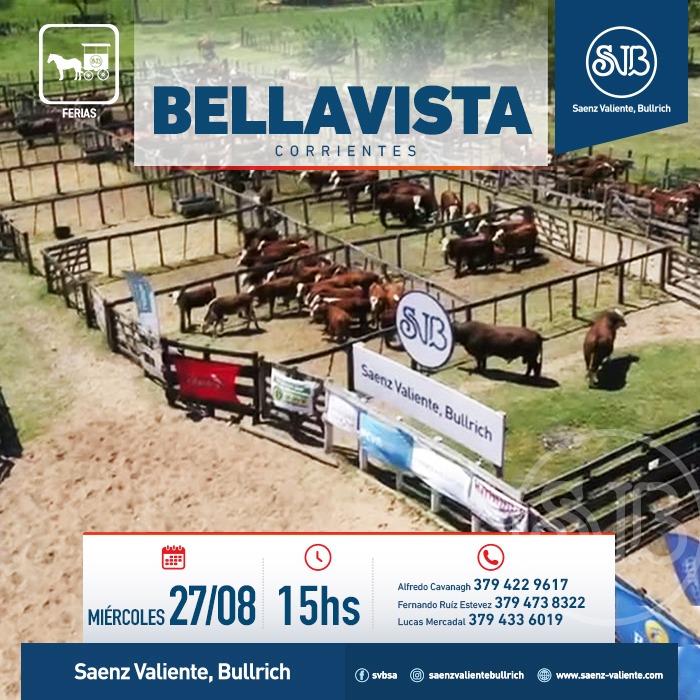 Feria en Bella Vista