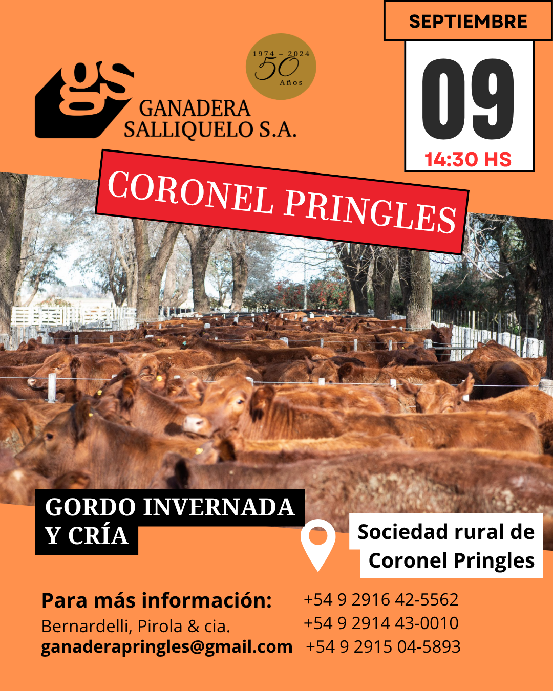 Afiche  REMATE EN CORONEL PRINGLES