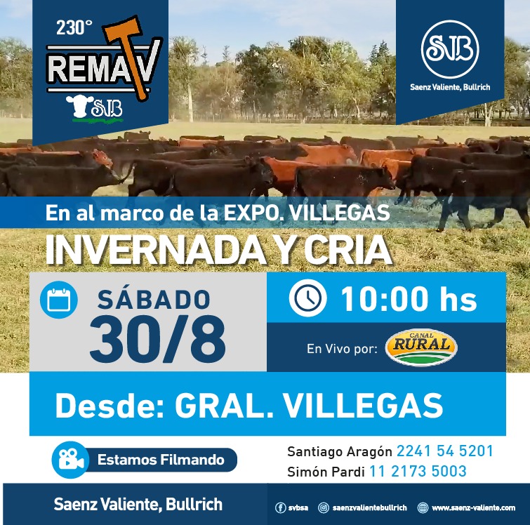 230° RematV