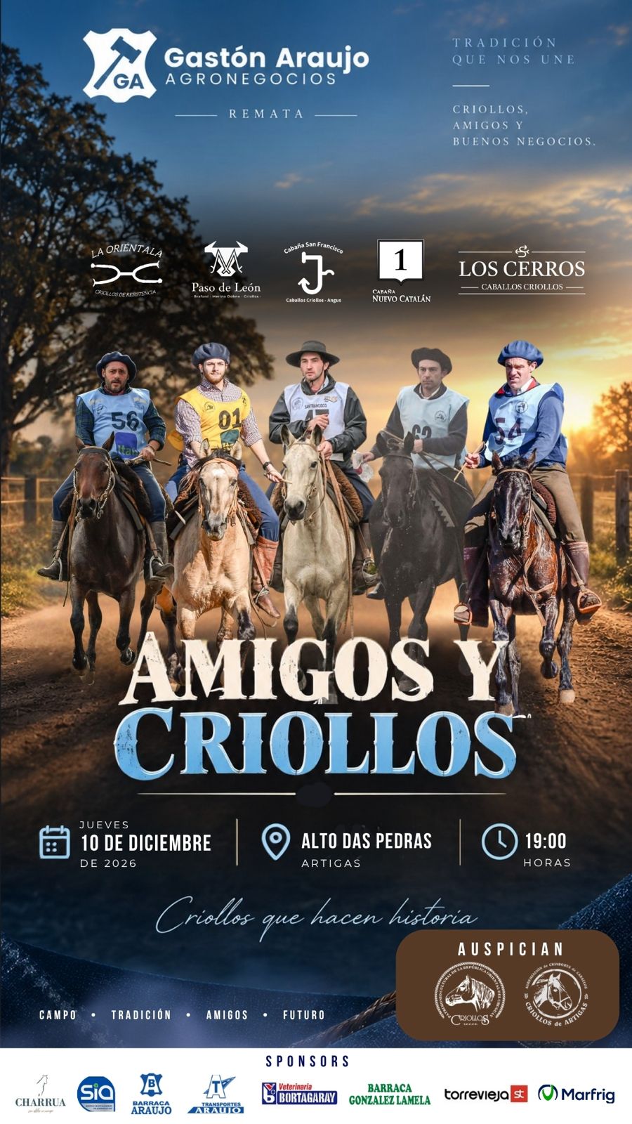 Afiche Amigos y Criollos
