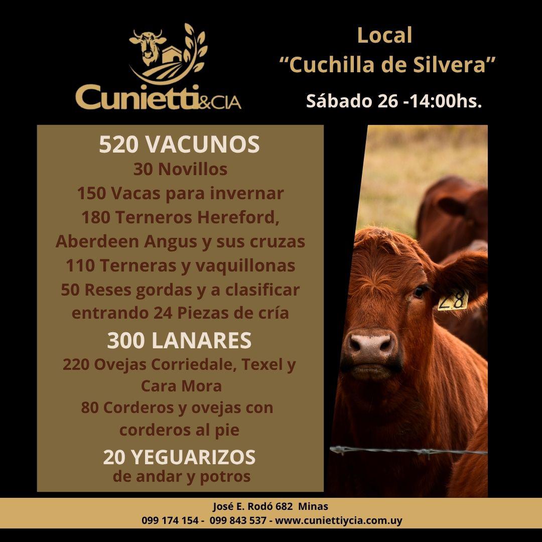 26 DE JULIO - Local Cuchilla de Silvera