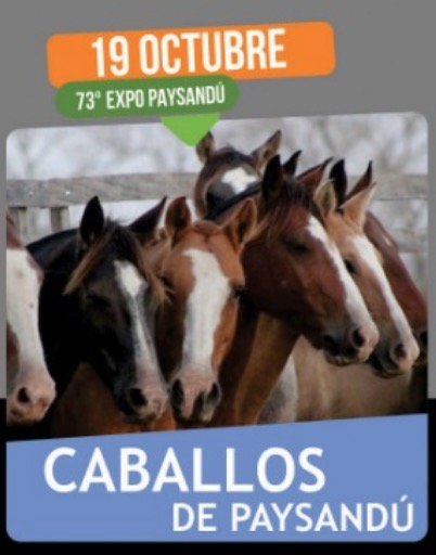 Afiche Caballos de Paysandú