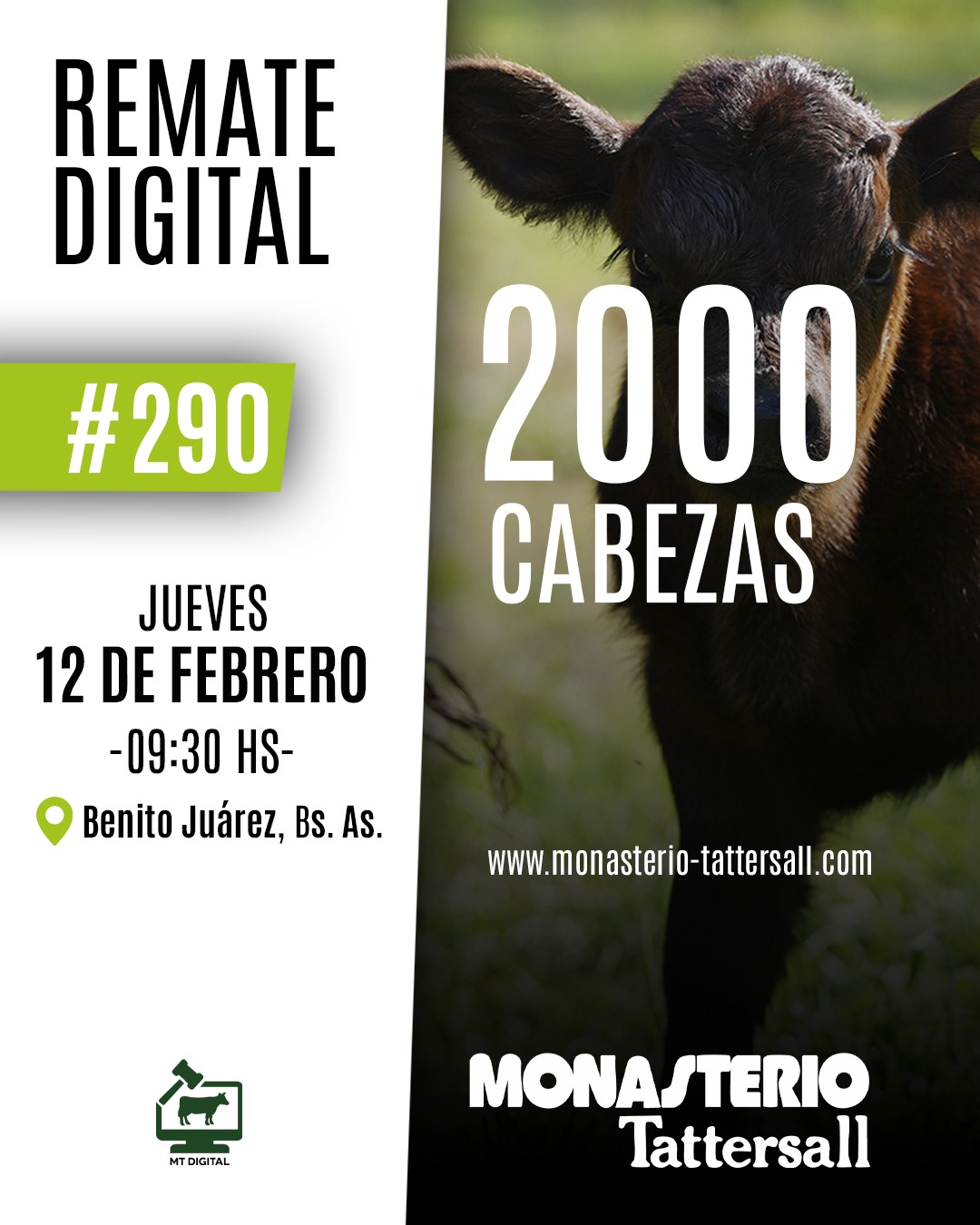 Remate digital 290° desde Benito Juarez