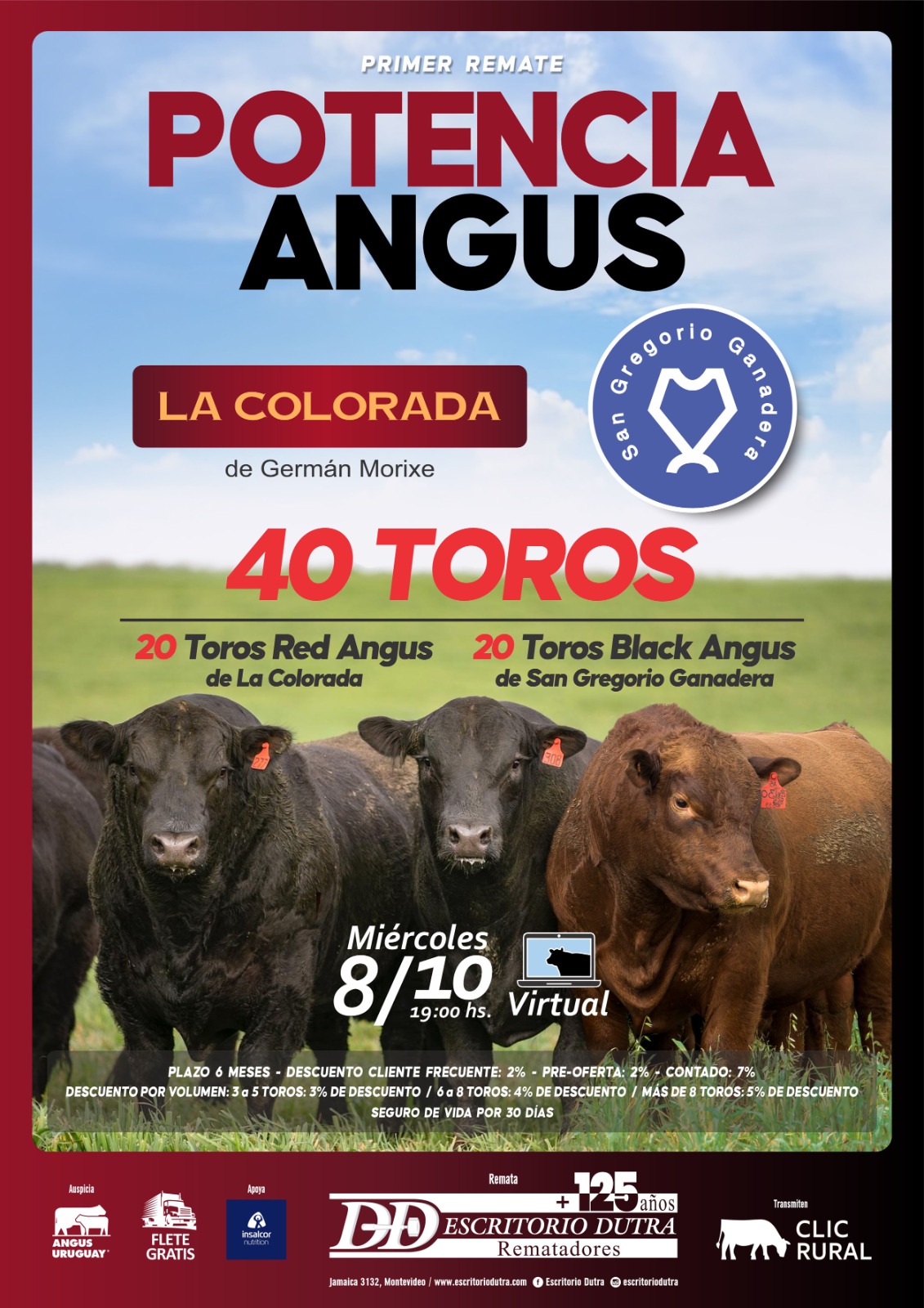Remate Potencia Angus