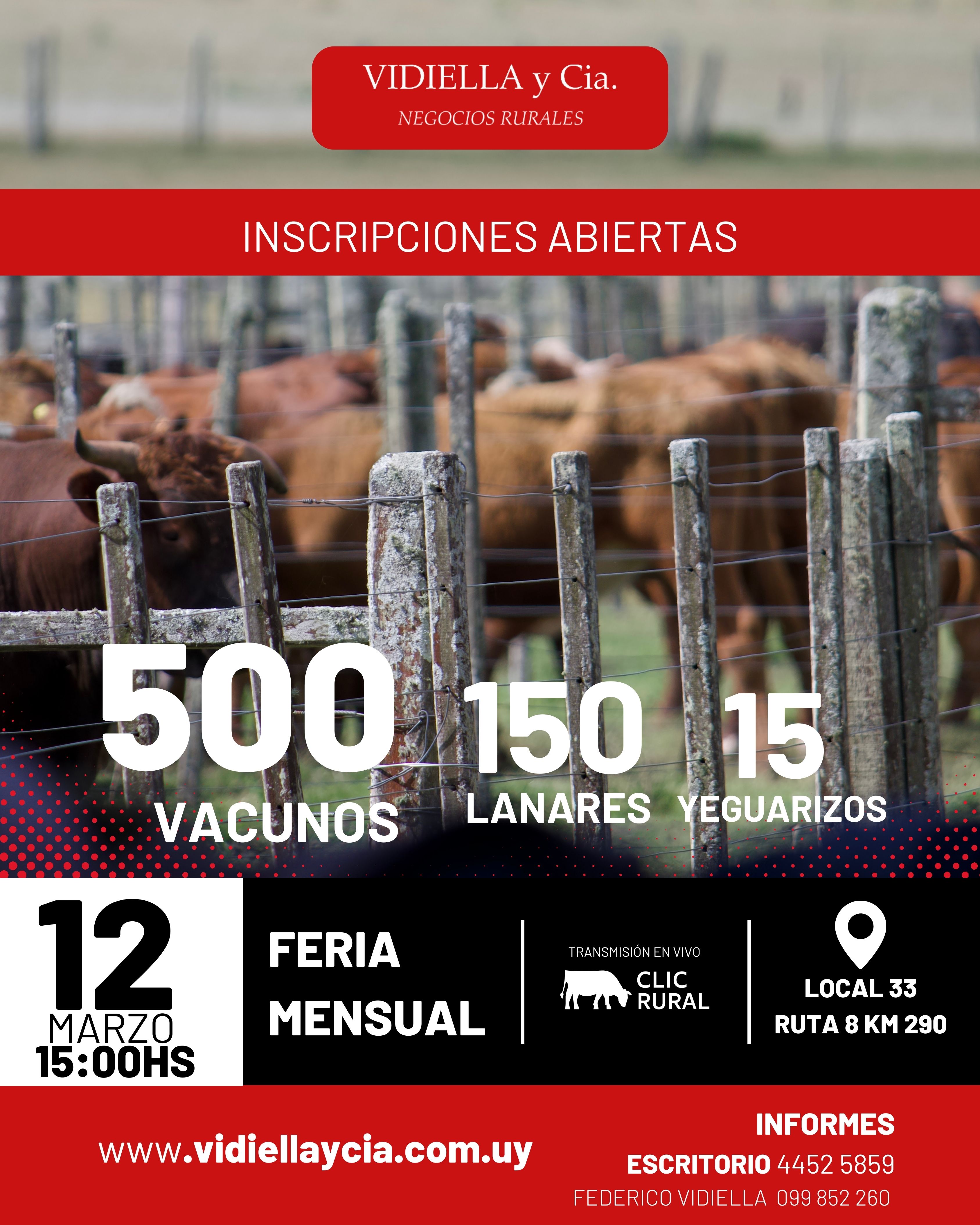 Feria Mensual - Vidiella y Cia