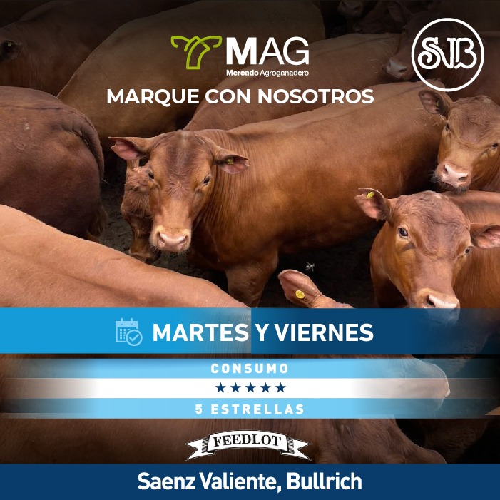 Consumo 5 Estrellas