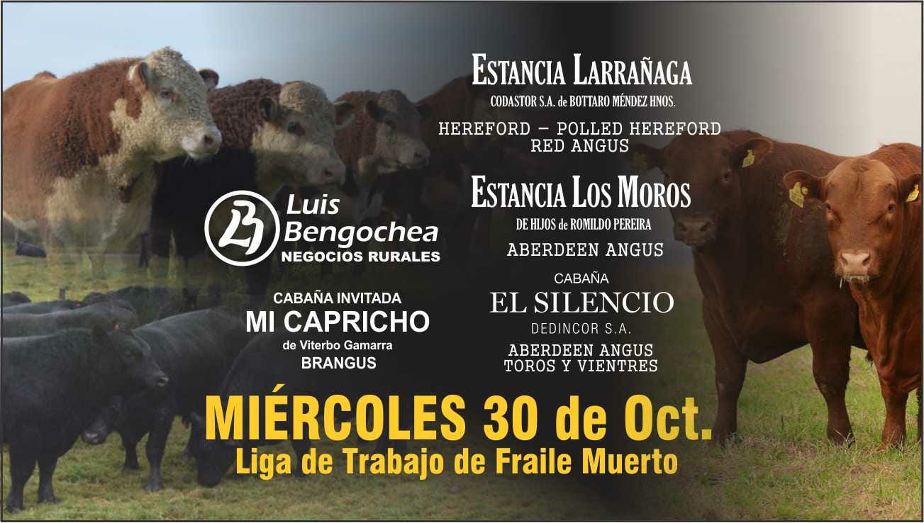 Afiche Remate Conjunto