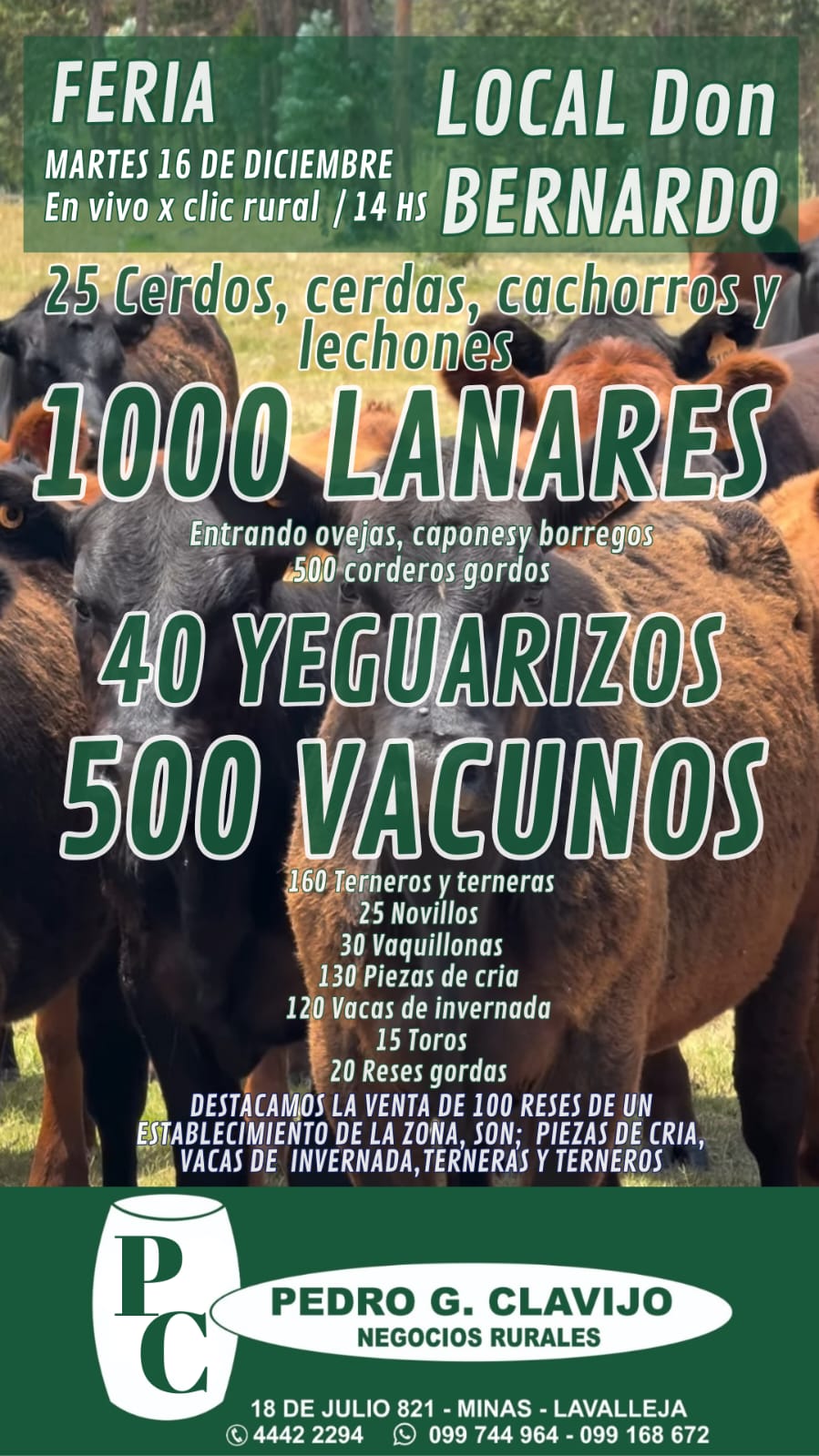 Afiche Feria Mensual - Don Bernardo