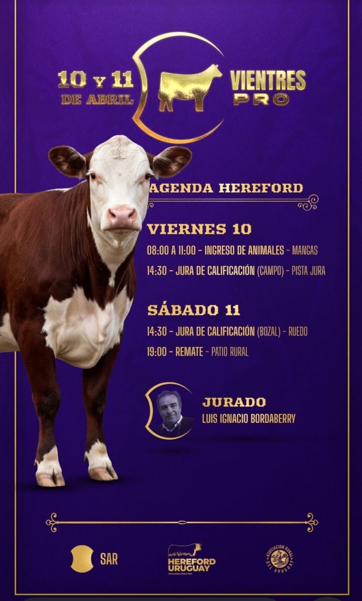 Vientres Pro - Hereford