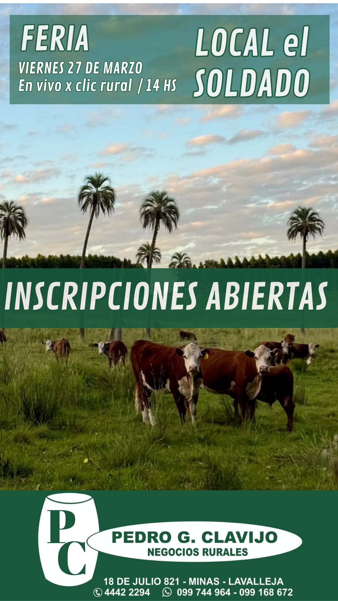 Remate Feria en Local el Soladado