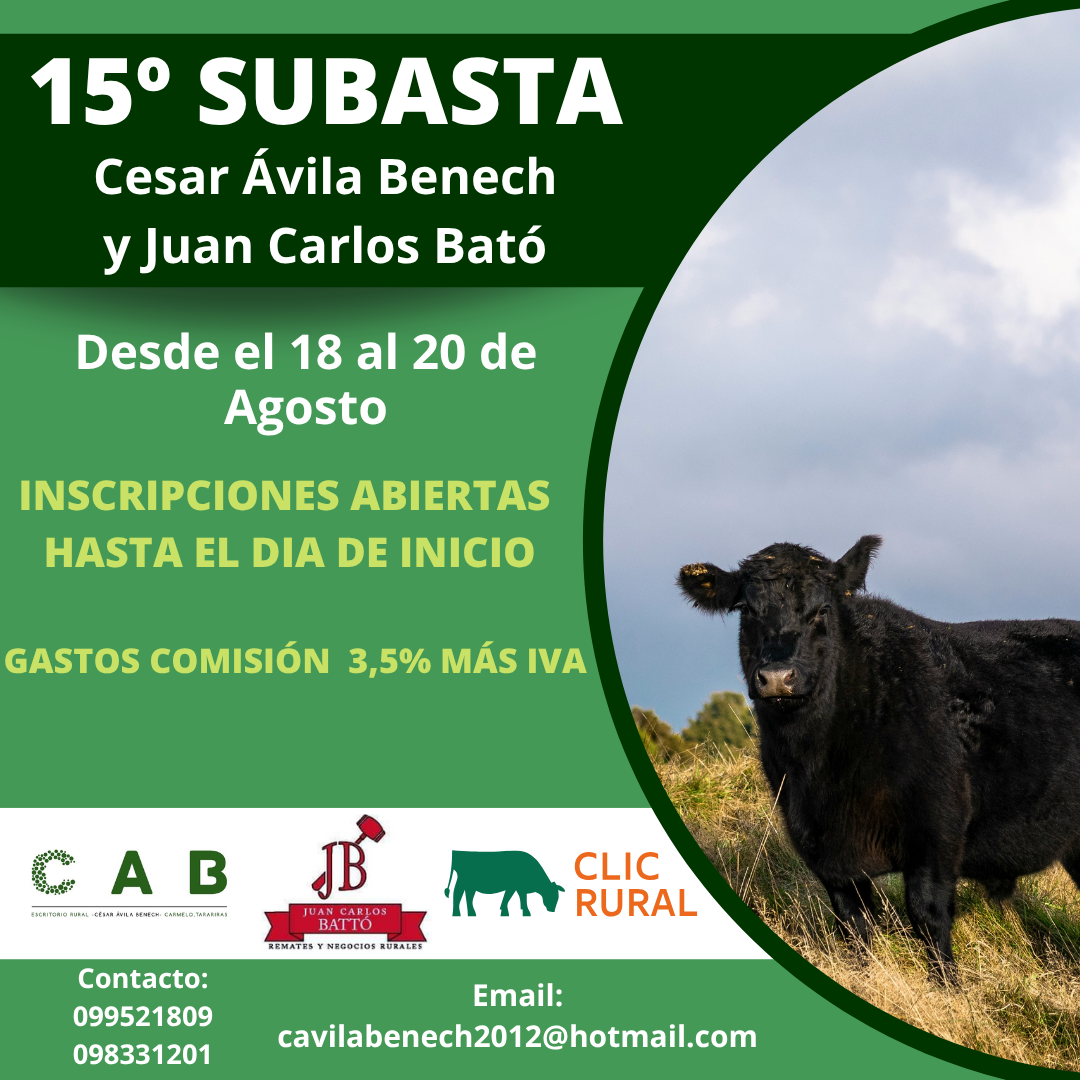 Remate 15º Subasta CAB