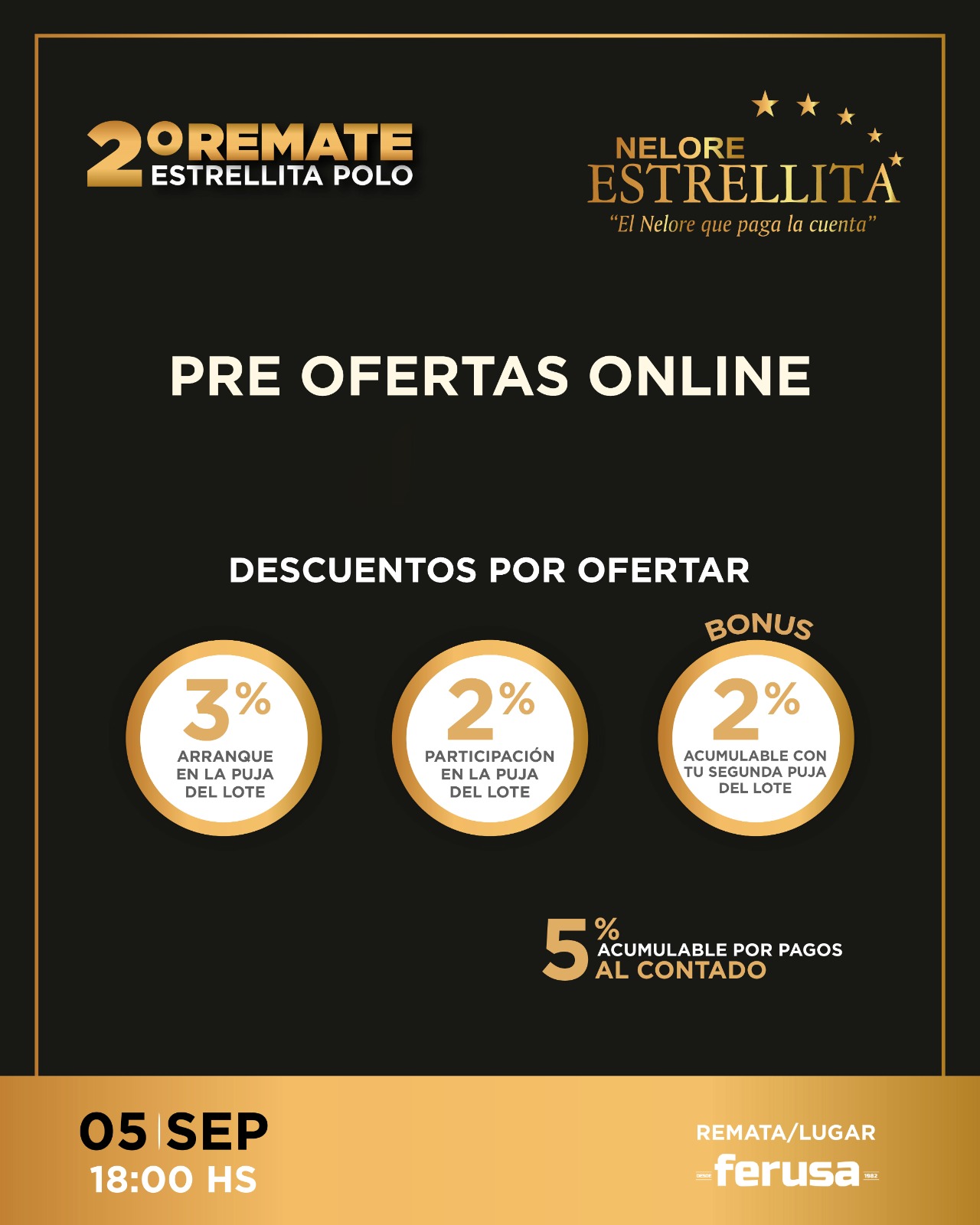 Remate Estrellita Polo