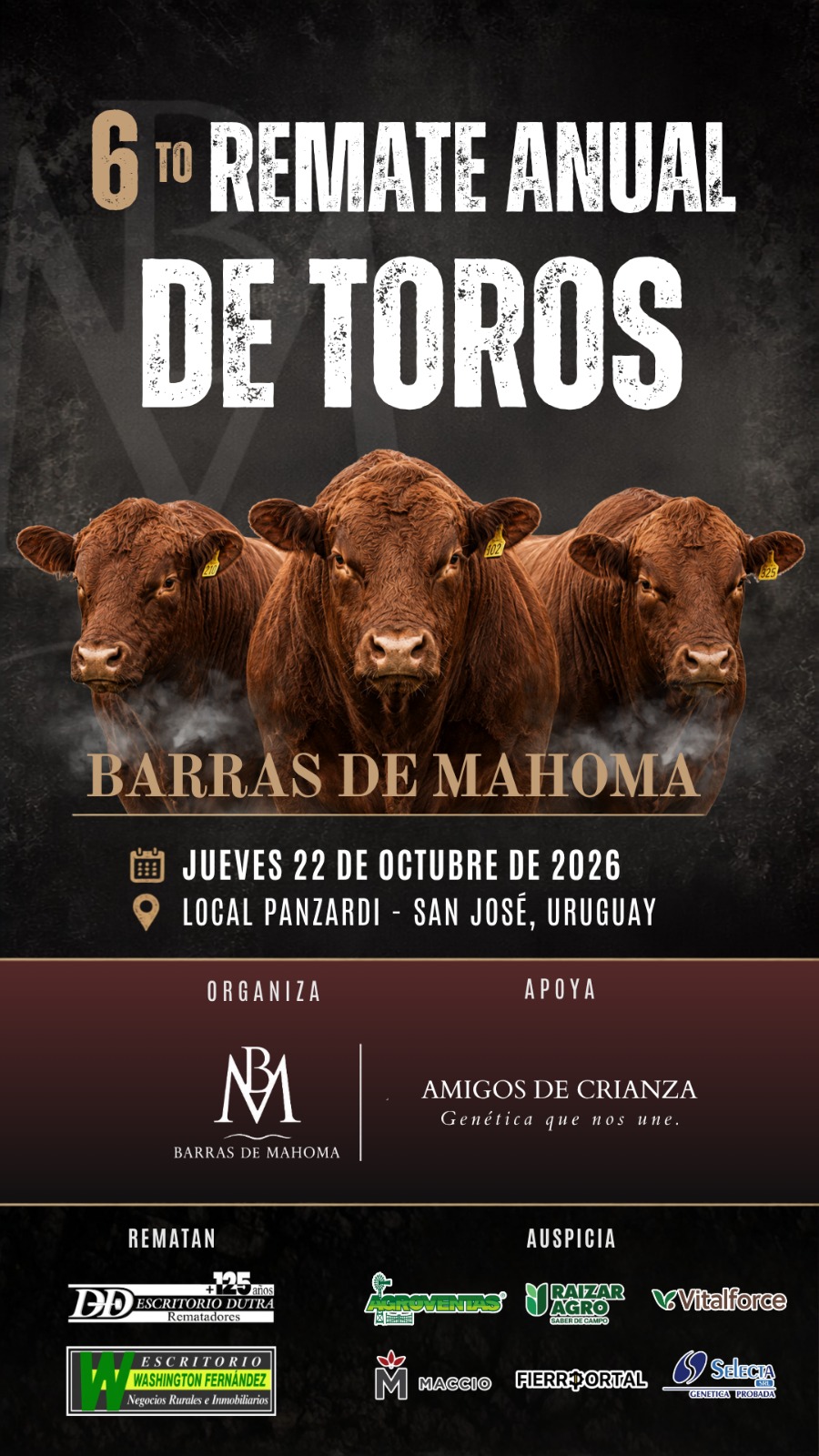 Afiche 6º Barras de Mahoma