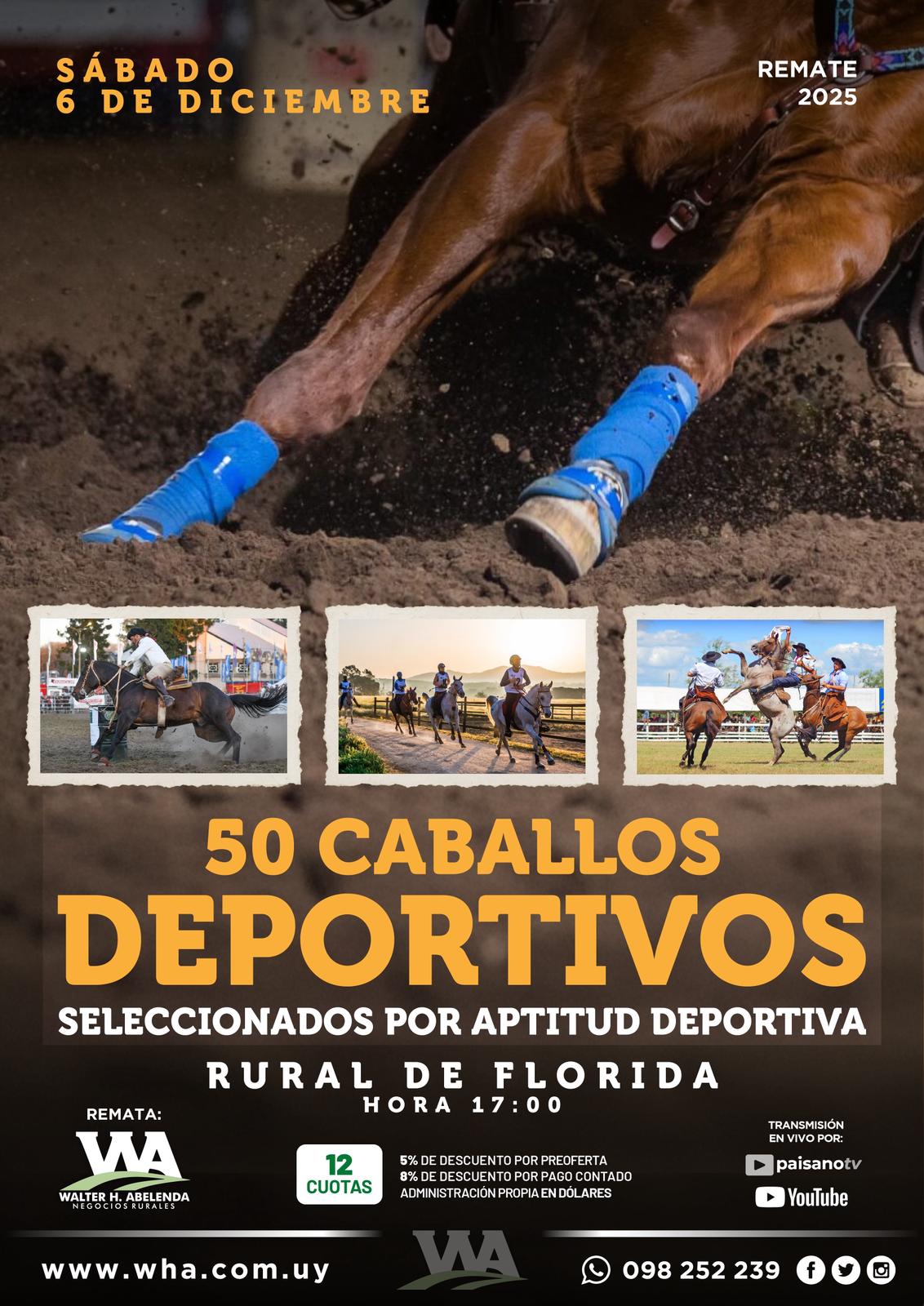 50 Caballos Deportivos