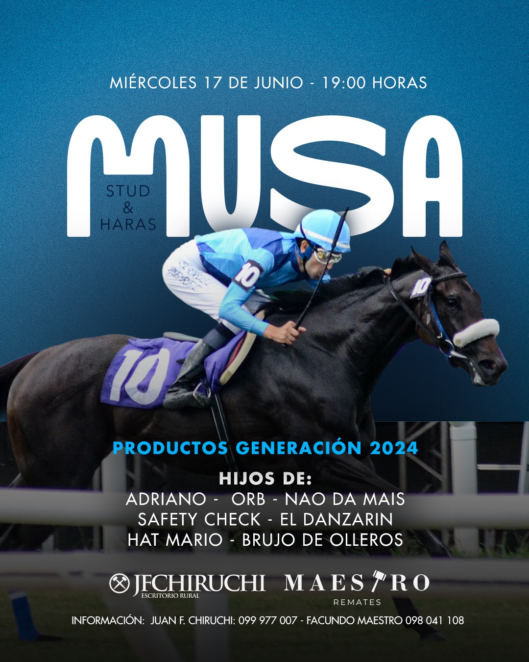 STUD Y HARAS MUSA