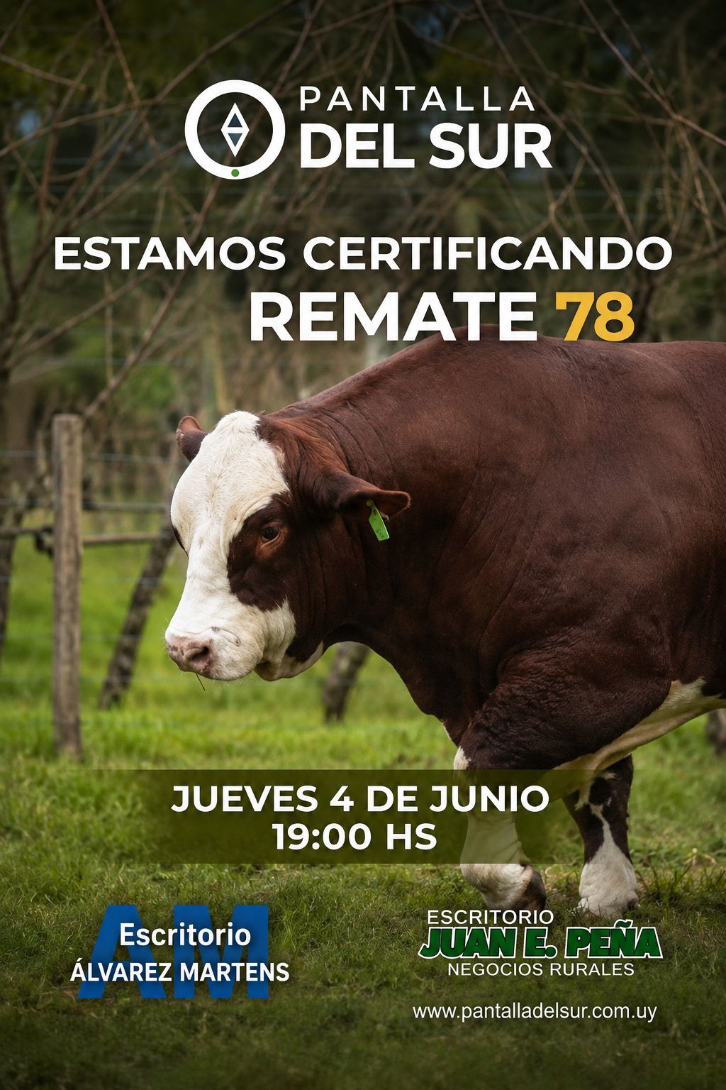 Remate 78º Pantalla del Sur