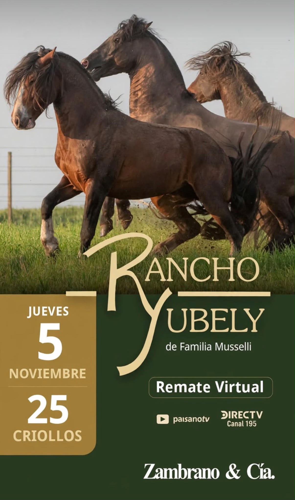 Afiche Rancho Ubely