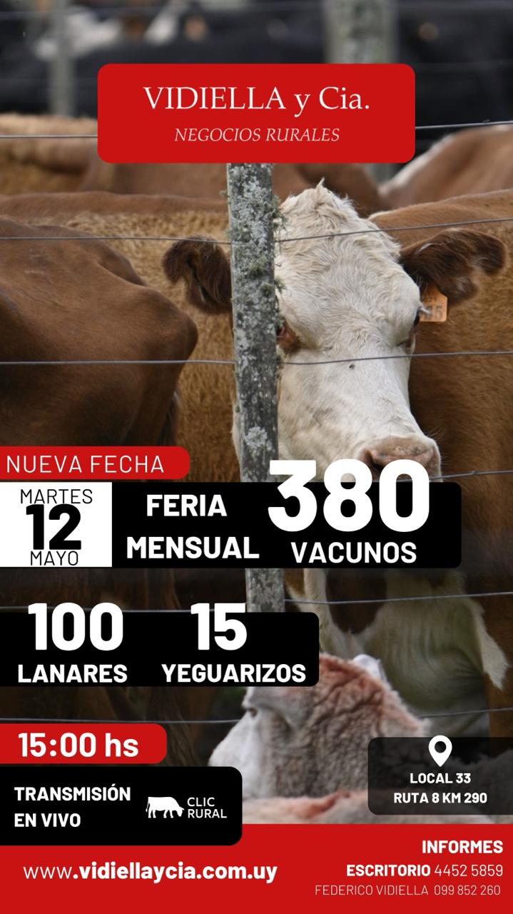 Remate Feria Mensual - Vidiella y Cia