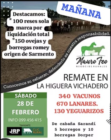 Remate Feria mensual local la Higuera