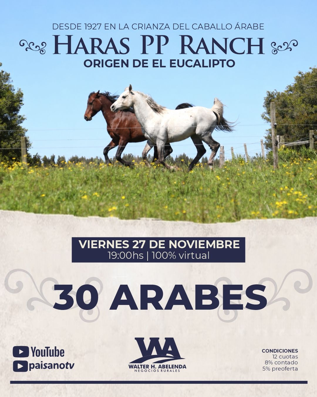 Haras PP Ranch