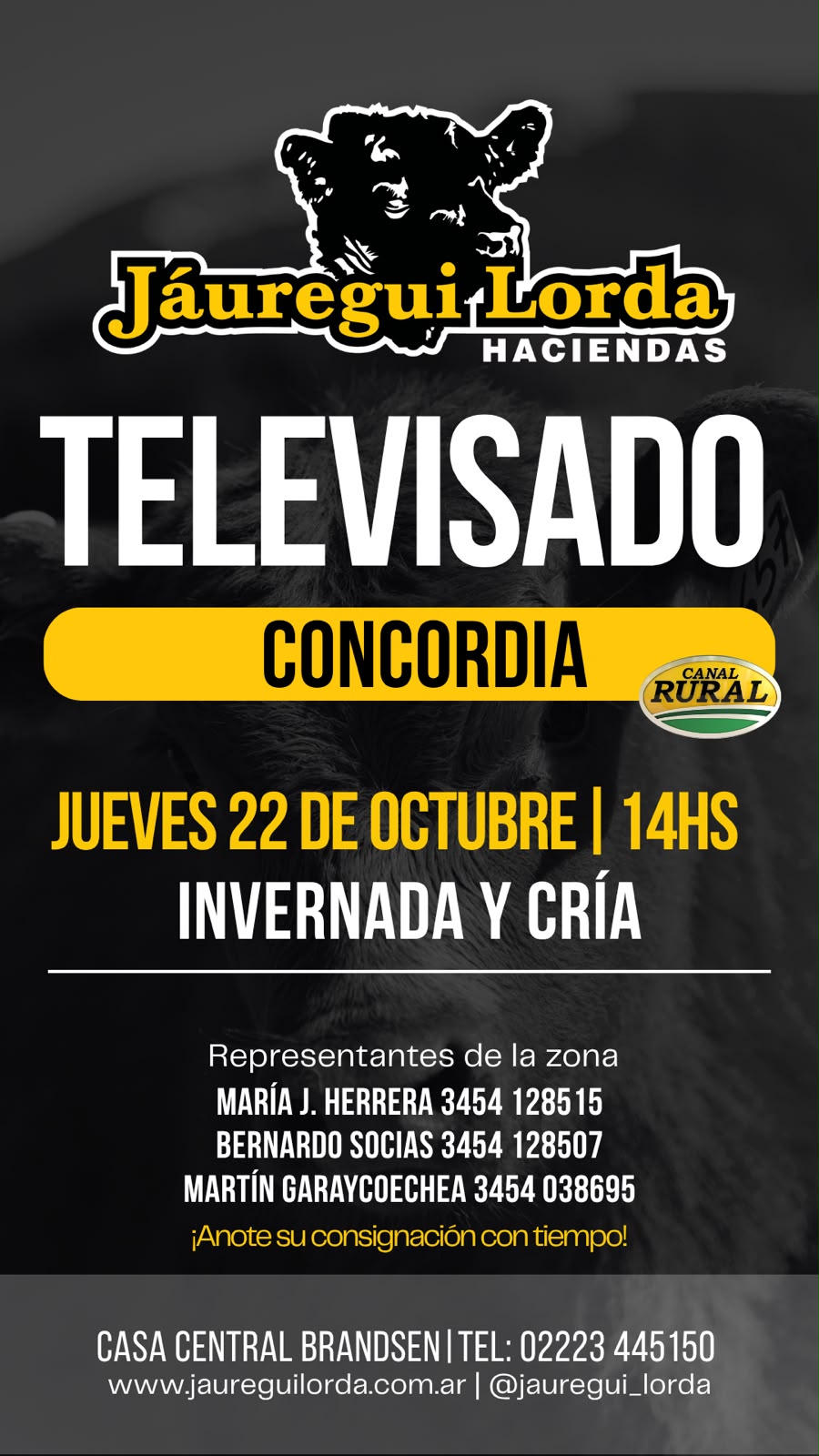 Afiche Remate televisado
