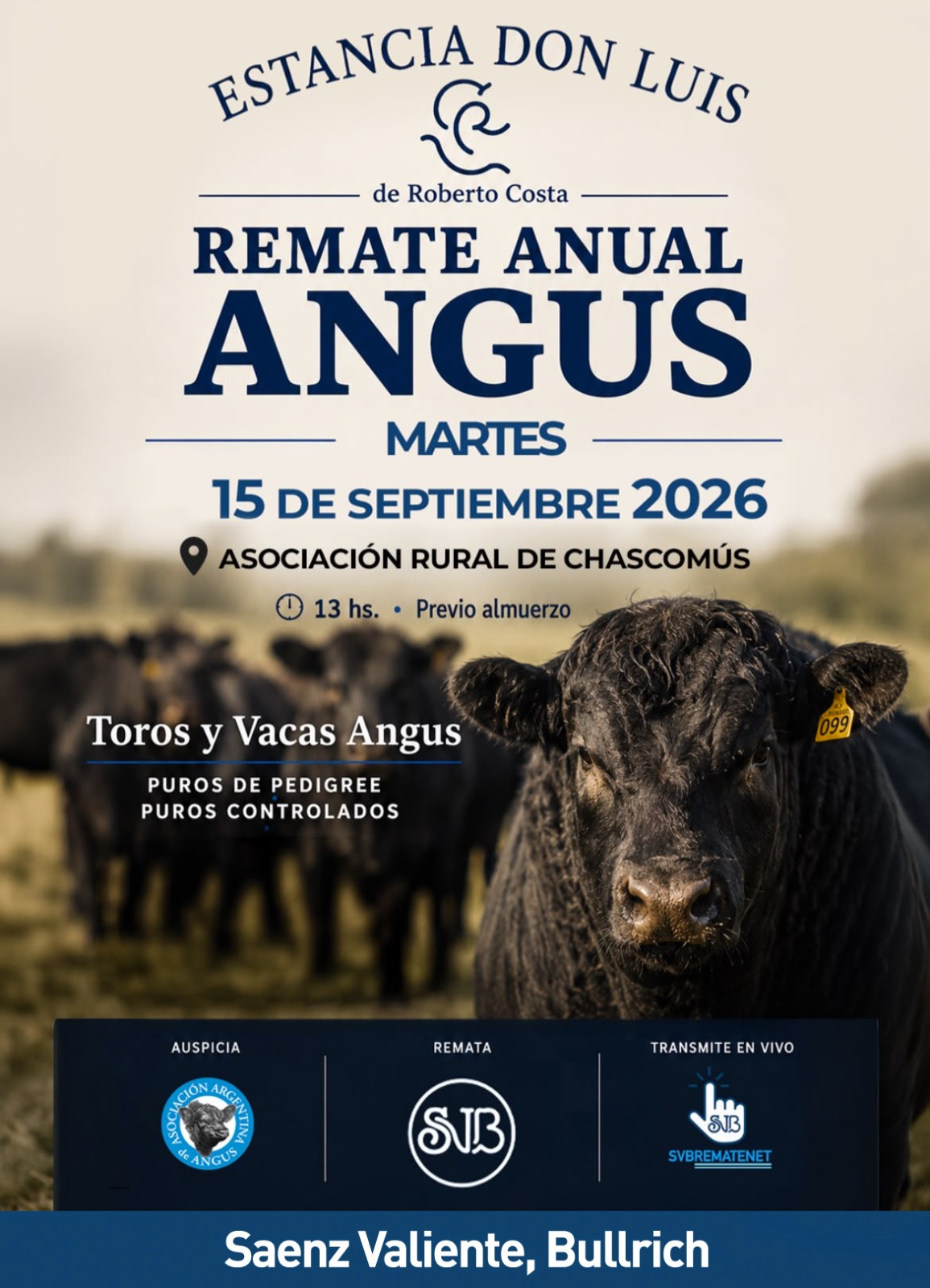 Afiche Don Luis
