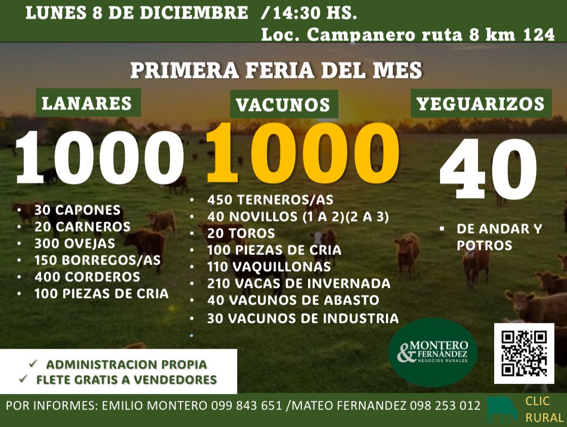 Feria Mensual - Montero Fernandez