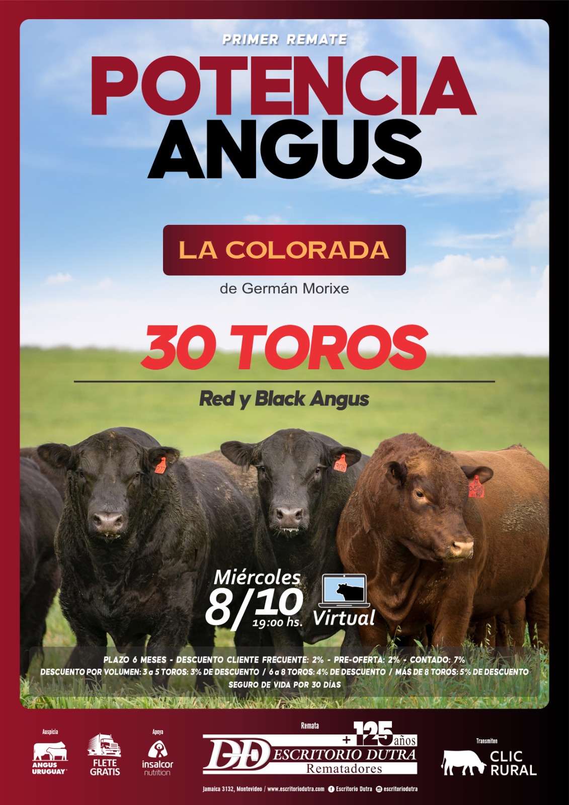 Potencia Angus