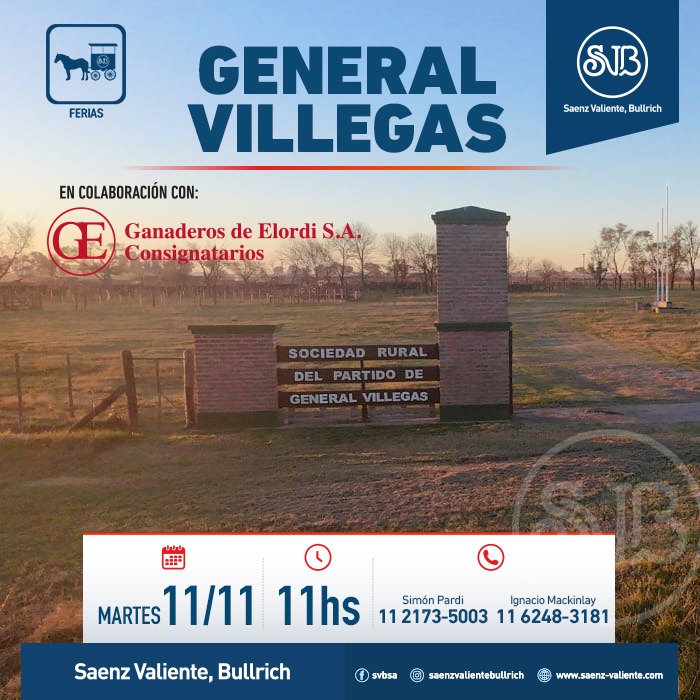 Remate Feria en Gral. Villegas