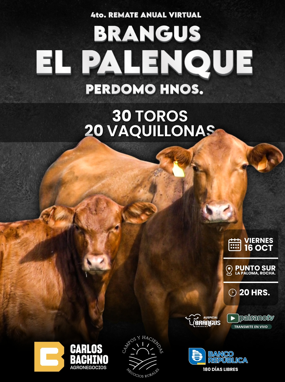 Brangus El Palenque