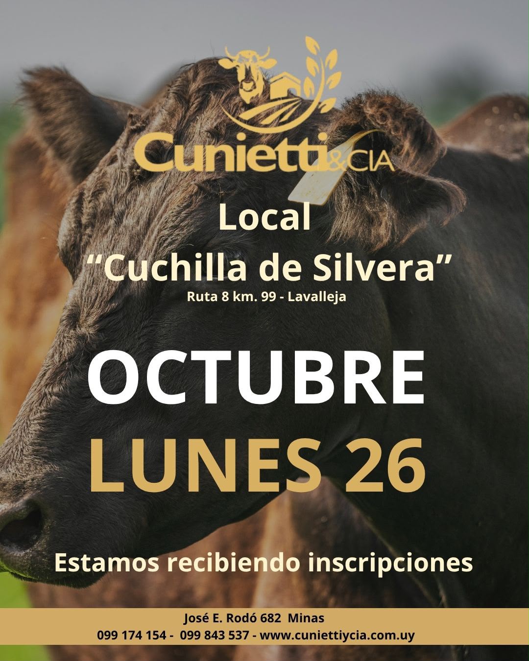 Afiche Feria mensual - Cunietti y Cia
