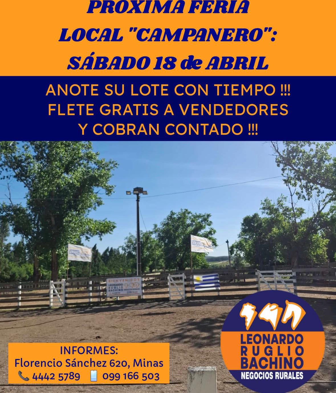 Remate Feria Mensual - Leonardo Ruglio Bachino