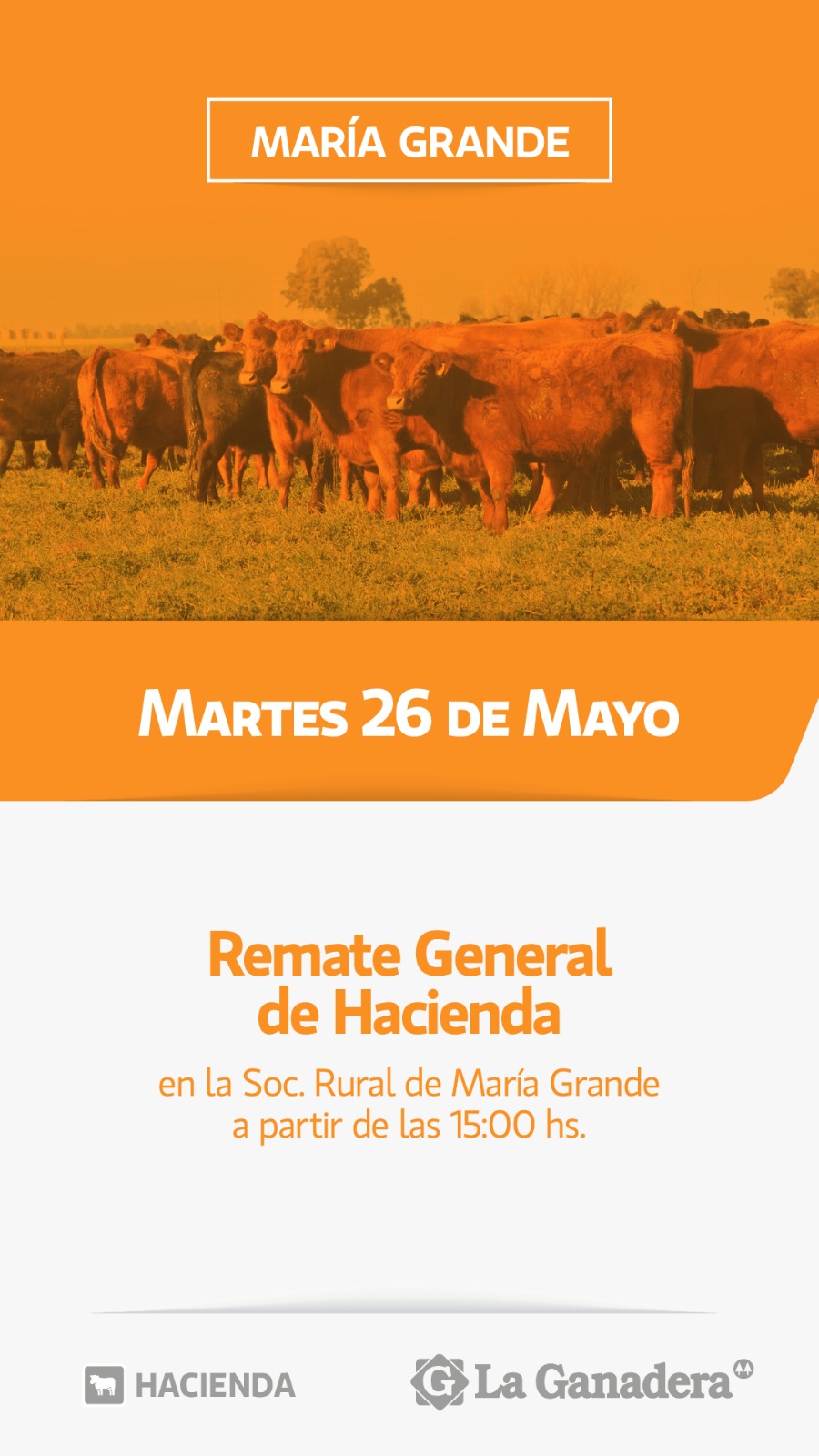 Remate REMATE FERIA EN SOCIEDAD RURAL DE MARÍA GRANDE