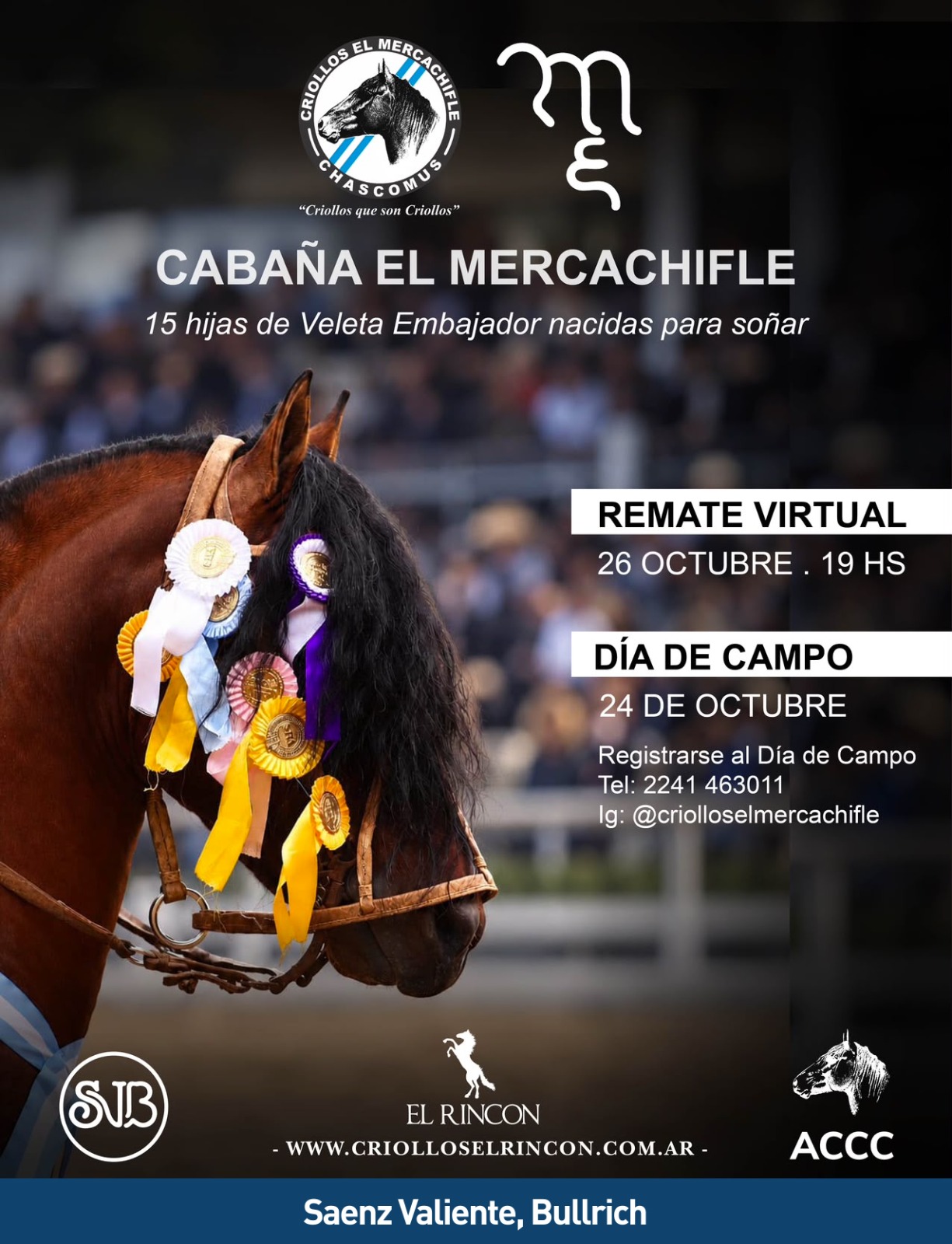 Cabaña El Mercachifle