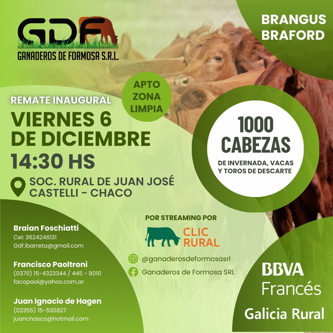 Afiche 06 DE DICIEMBRE - Comandante Fontana
