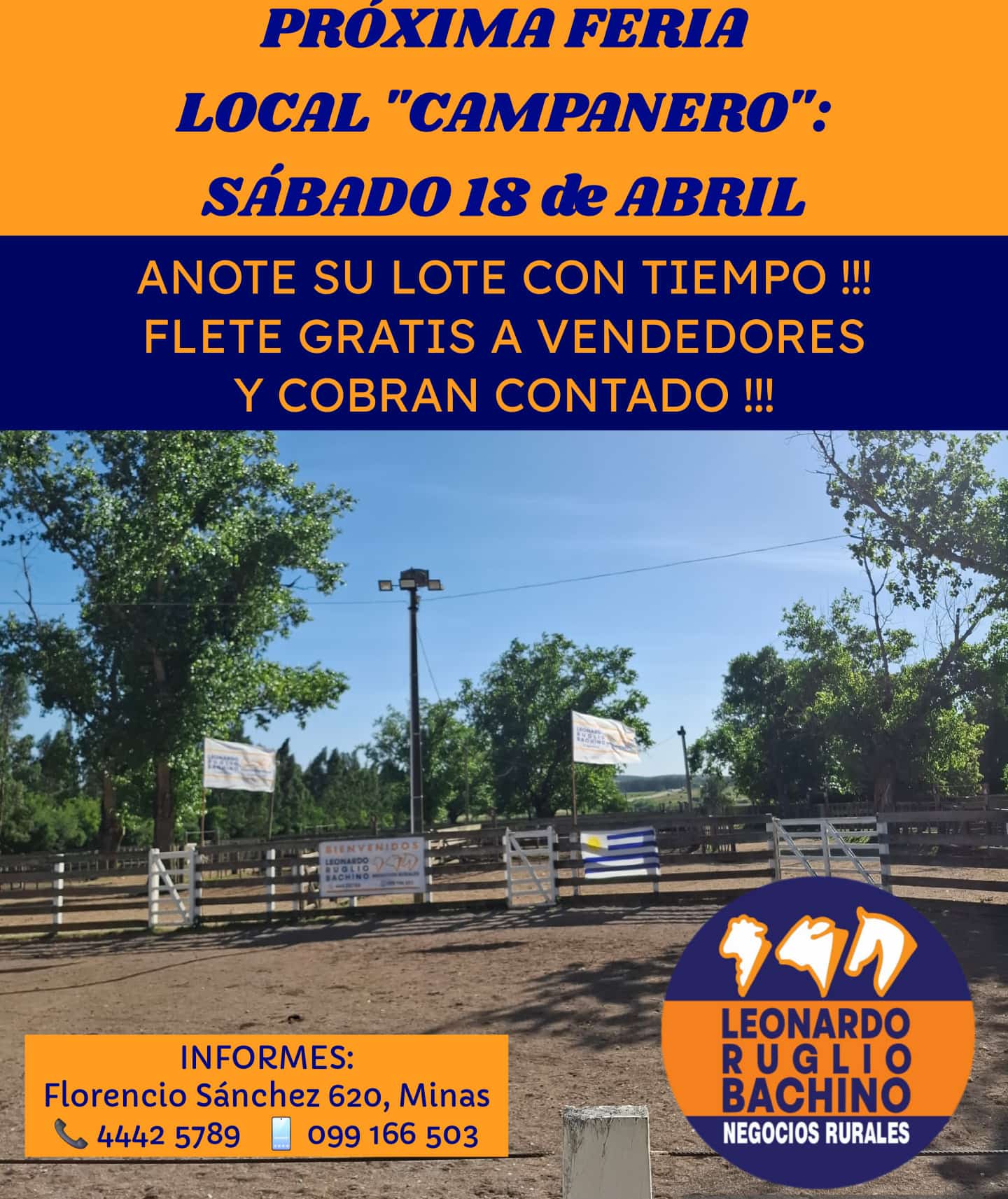 Remate Feria Mensual - Leonardo Ruglio Bachino