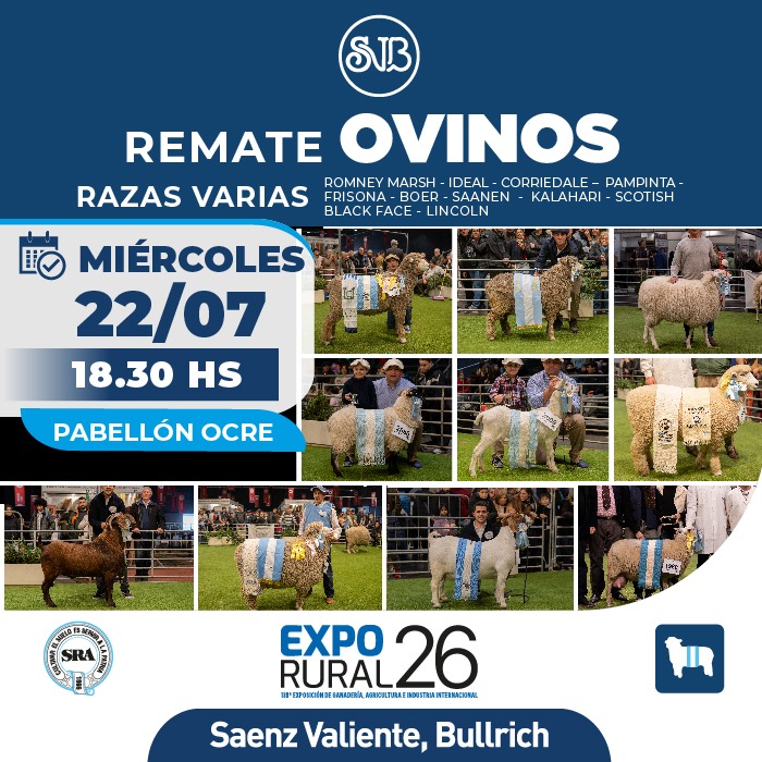 Ovinos - Razas Varias
