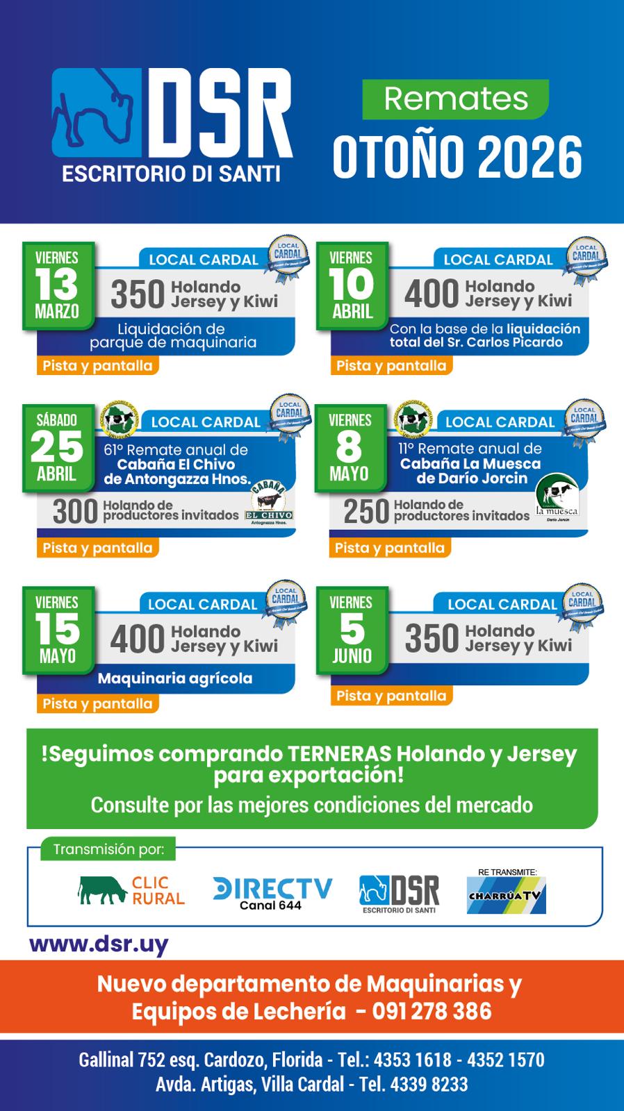 Afiche 350 Holando, Jersey y Kiwi