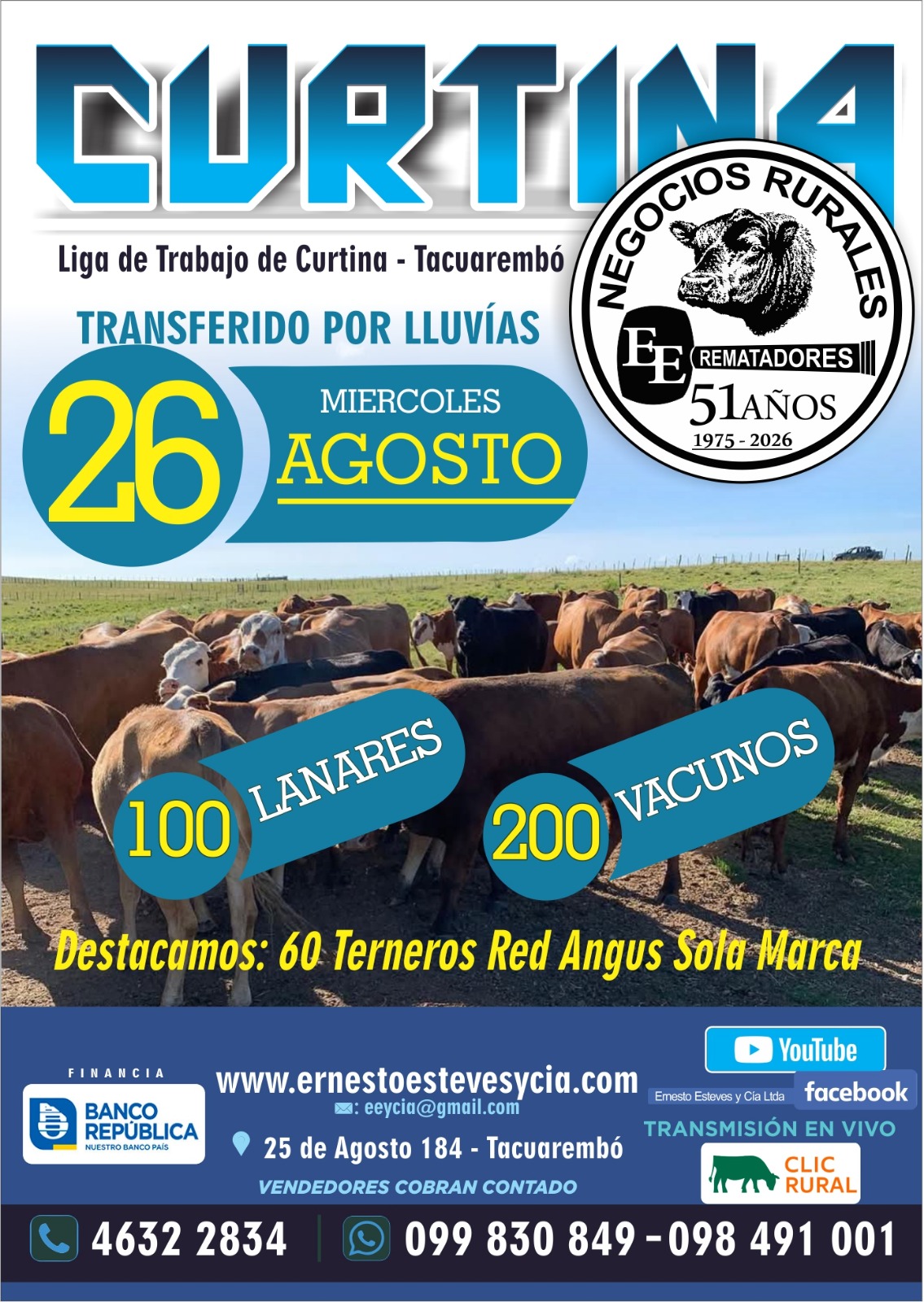 Feria mensual - Curtina