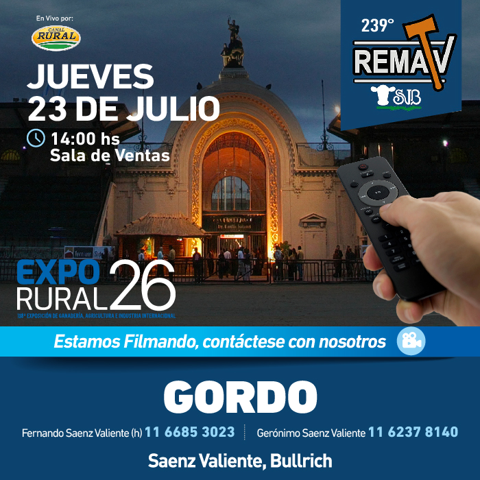 239° RematV