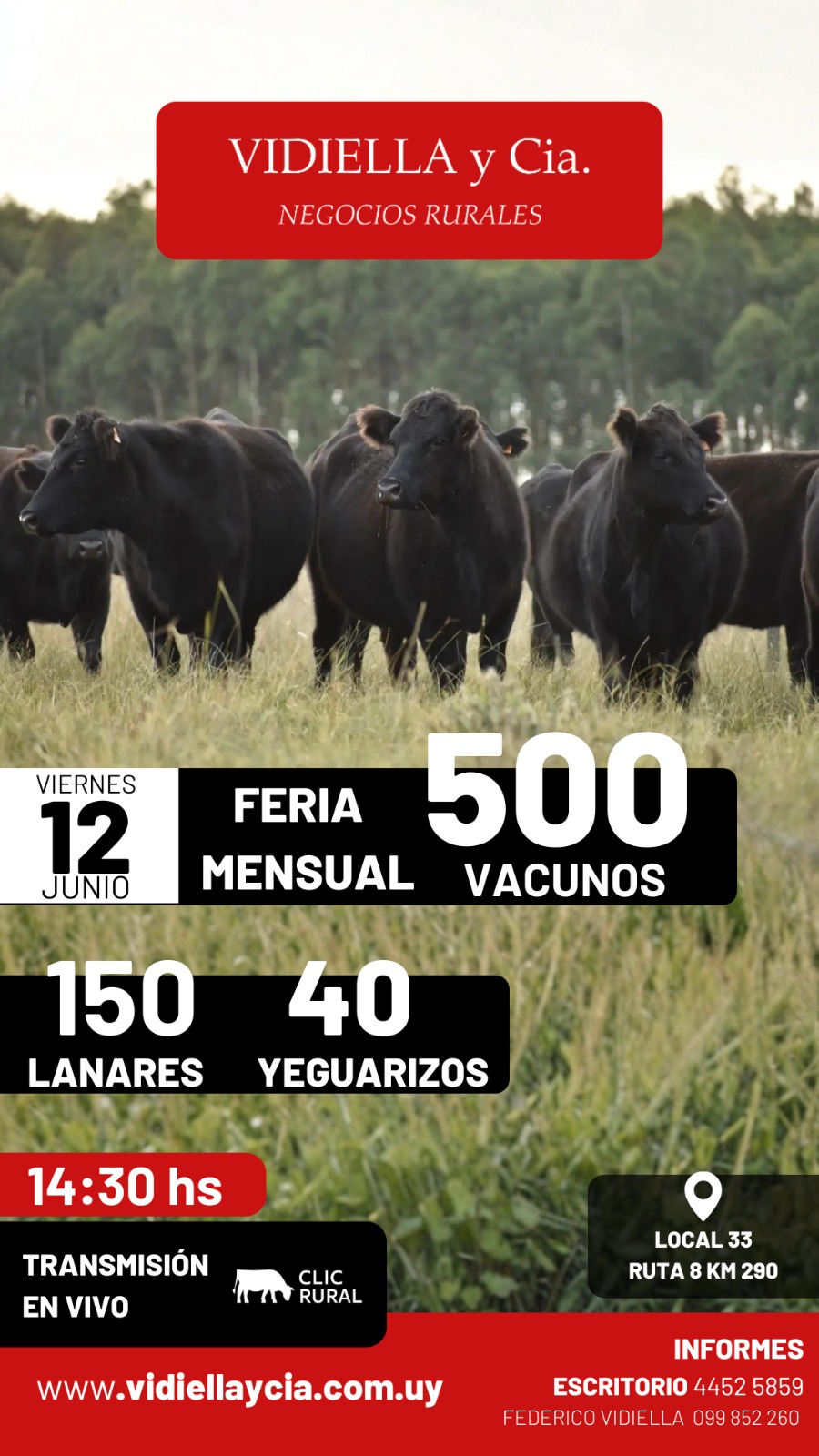 Remate Feria mensual - Vidiella y Cia
