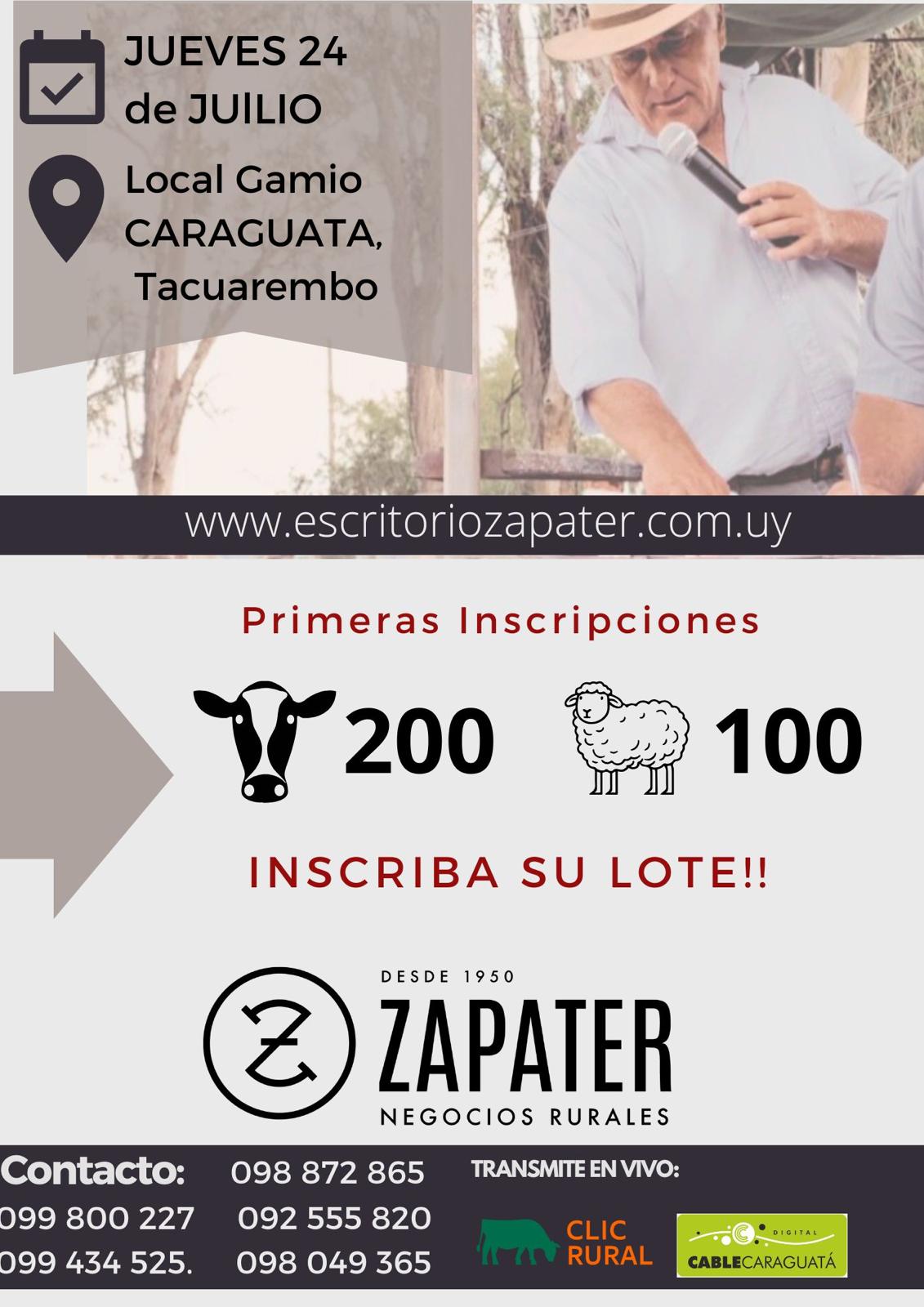 Remate Feria mensual - Escritorio Zapater