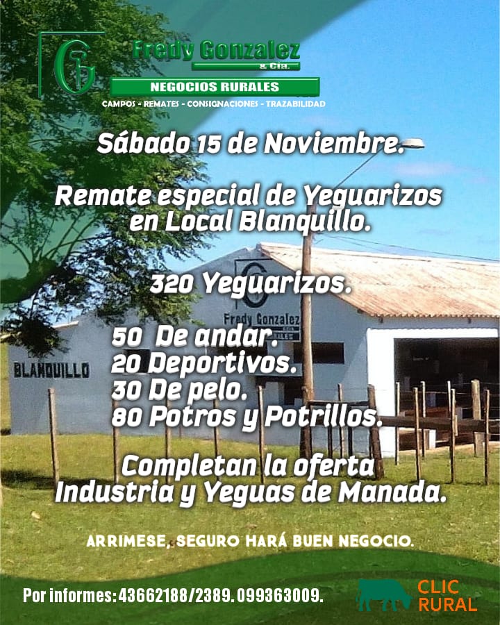 Remate Feria especial de Yeguarizos