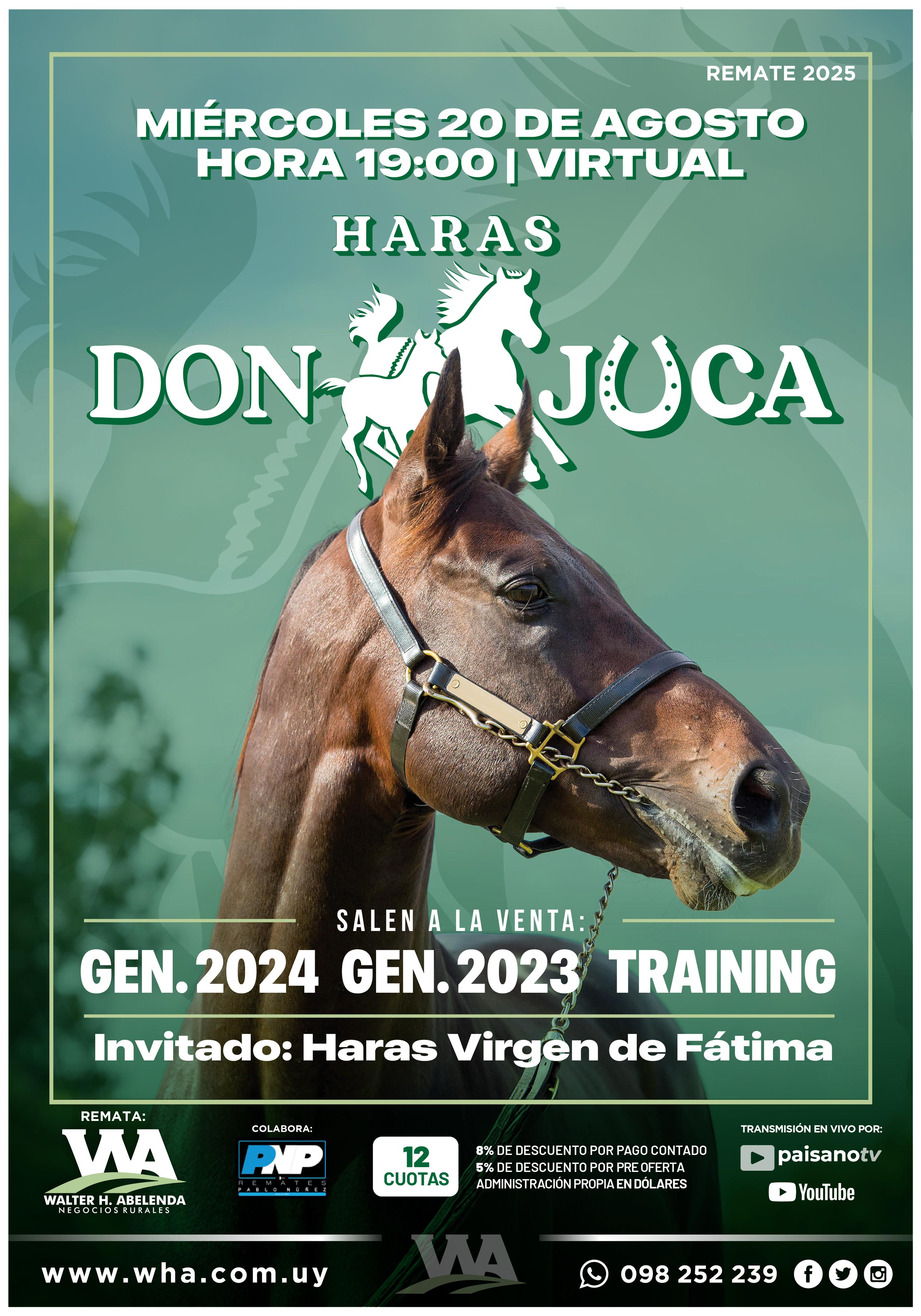 Haras Don Juca